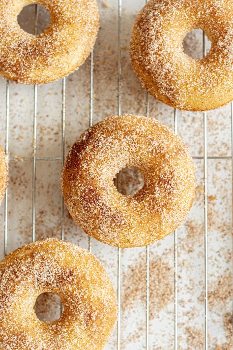 Baked Sourdough Doughnuts with Cinnamon Sugar Sourdough Doughnut Recipe, Sourdough Donut Recipe, Recipe Using Sourdough Starter, Dough Starter, Sourdough Starter Discard Recipe, Baked Donut Recipes, Homemade Sourdough Bread, Sourdough Starter Recipe, Sourdough Baking