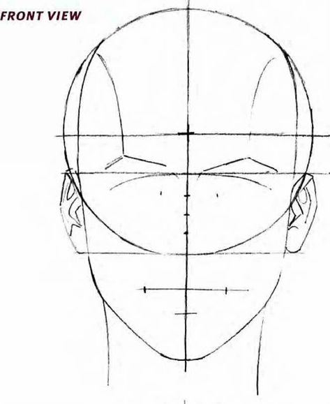 Guide Lines Drawing, A Face Drawing, Face Proportions Drawing, Head Guide, Pencil Drawing Pictures, Lines Drawing, Head Anatomy, How To Contour, Human Body Drawing