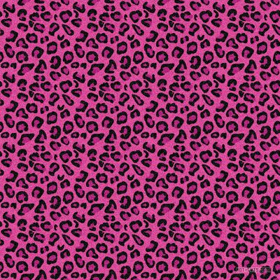 Y2k Wall Collage, Pink Leopard Wallpaper, Cheetah Pictures, Girly Backgrounds, Hot Pink Leopard Print, Leopard Print Background, Leopard Print Wallpaper, Cheetah Print Wallpaper, Hot Pink Leopard