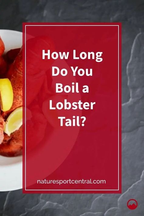 How Long Do You Boil a Lobster Tail #fishing #fish #flyfishing #bassfishing #fishinglife #catchandrelease #trout #bass How Long To Boil Lobster Tails, Boiled Lobster Tail Recipe, Boil Lobster Tail, Boiled Lobster, Easy Lobster Tail Recipe, Cooking Frozen Lobster Tails, Crayfish Tails, Frozen Lobster Tails, Cook Lobster