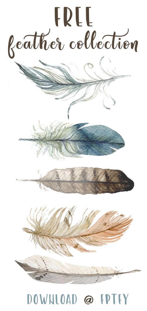 Feather Collection, Fashion Maker, Watercolor Feather, Free Printable Wall Art, Free Hand Drawing, Feather Art, Crafts Jewelry, Free Graphics, Free Prints