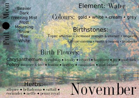 Month Magical Correspondences, November Magical Correspondences, May Correspondences, November Correspondences, October Correspondences, November Witchcraft, Monthly Correspondences, November Magic, November Magick