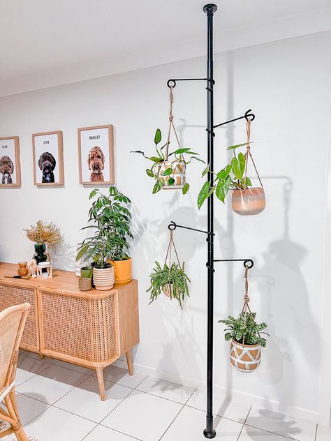 Plant Pole, Plant Hanging, Cat Proofing, Hanging Plants Indoor, Indoor Jungle, House Plants Decor, Urban Oasis, Room Size, Bench Table