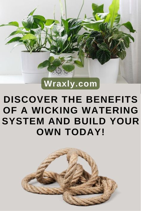 Diy Self Watering Planter, Unusual Planter, Plant Watering System, Self Watering Containers, Potted Plants Outdoor, Self Watering Pots, Watering System, Self Watering Planter, Organic Gardening Tips