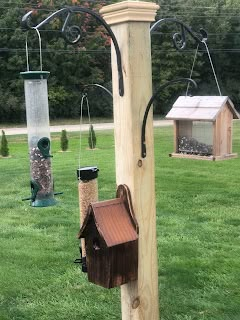 Hanging Birdfeeder Ideas, Bird Feeder Holder, Bird Feeder Hangers Outdoor, Birdhouse Post Ideas Diy, Outside Bird Feeder Ideas, Porch Bird Feeder Ideas, Post Bird Feeder, Bird House Hangers Ideas, Diy Birdfeeders Wooden