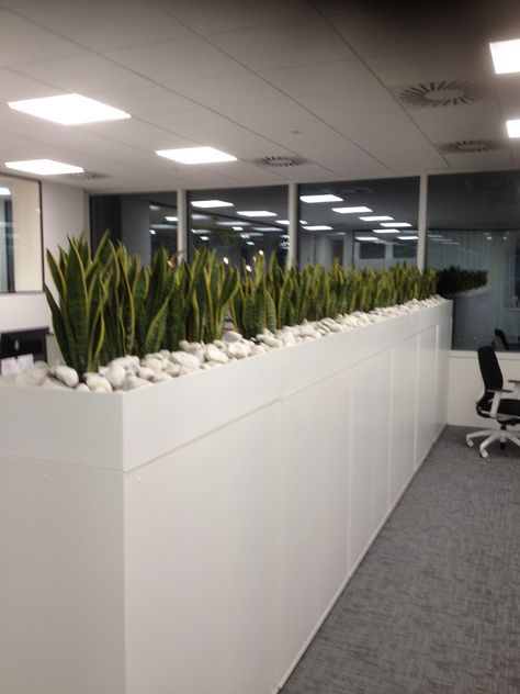 Office Planters Ideas, Office Plant Ideas, Plants In Office Space Interiors, Plant Wall Office, Office Plant Wall, Best Office Plants Work Spaces, Hanging Plants Office Design, Office Plants Ideas Interior Design, Office Planter Box Design