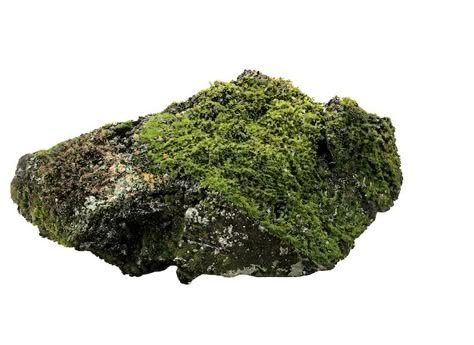 PSD a mossy rock with a transparent back... | Premium Psd #Freepik #psd