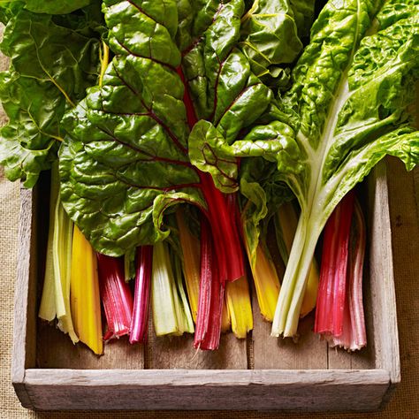 picked chard Swiss Chard Quiche, Chard Quiche, Growing Leeks, Garden Vegetable Recipes, Sauteed Swiss Chard, Greek Sauce, Seasonal Produce Guide, Rice Main Dishes, Farro Recipes