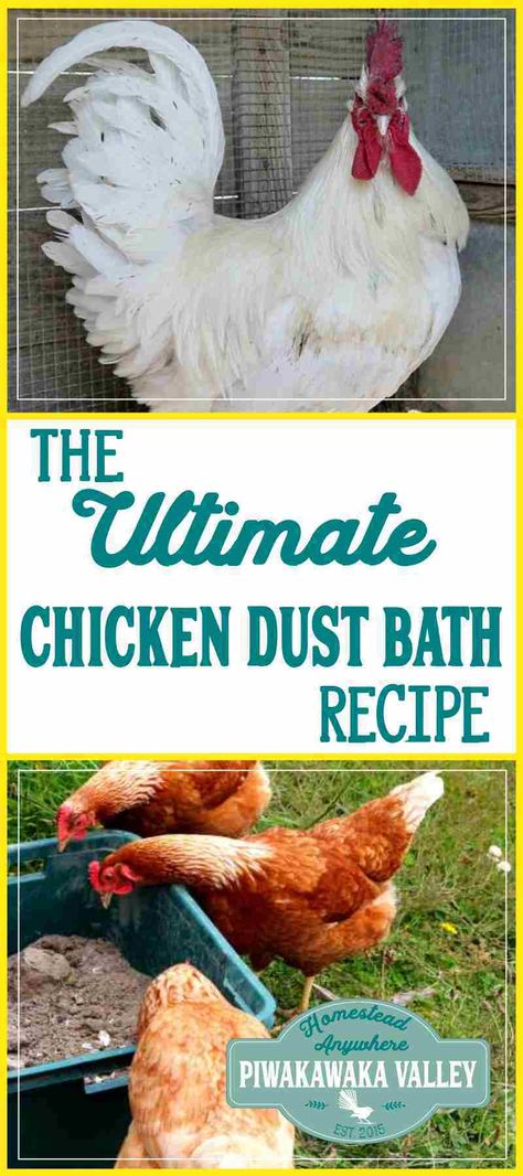 Did you know chickens love a dust bath? You can make this easy chicken dust bath recipe at home. They use it to naturally repel fleas, mites, ticks and lice. This is our own recipe for the Ultimate Chicken Dust Bath Dust Bath Recipe, Chicken Dust Bath, Dust Bath For Chickens, Chickens Coop, Hatching Chickens, Dust Bath, Chicken Farming, Backyard Chicken Farming, Chicken Health