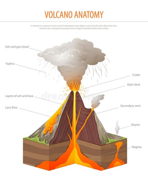 Volcano Cross Section, Education Poster Vector Stock Vector ... Volcano Anatomy, Volcanoes Drawing, Volcanoes Activities, Volcanoes For Kids, Volcano Diagram, Volcano Poster, Volcano Drawing, Tectonic Plate Boundaries, Volcano Projects