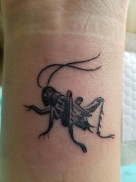 Cricket tattoo! Few reasons: 1. A Cricket in Times Square was my favorite book as a kid 2. I love hearing crickets chirp at night. It's calming. 3. Crickets are supposed to be good luck and attract prosperity...which I could definitely use. Lucky Cricket Tattoo, Cricket Tattoo Design, Cricket Tattoos, Cricket Tattoo, Cricket Bug Tattoo, Spiritual Meaning Of Crickets, Cricket Symbolism, Cricket Bug, Cricket Bug Illustration