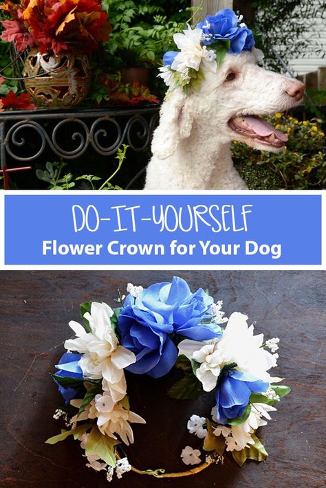 Diy Flower Crown Tutorial, Dog Flower Crown, Flower Crown Tutorial, Crown Tutorial, Crown Diy, Flowers Crown, Ideas For Flowers, Diy Flower Crown, Diy Crown