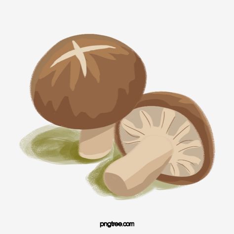 Nokia Logo, Mushroom Icon, Pencil Packaging, Happy Vietnamese New Year, Mushroom Logo, Mushroom Food, Mushrooms Illustration, Mushroom Cartoon, Mushrooms Food