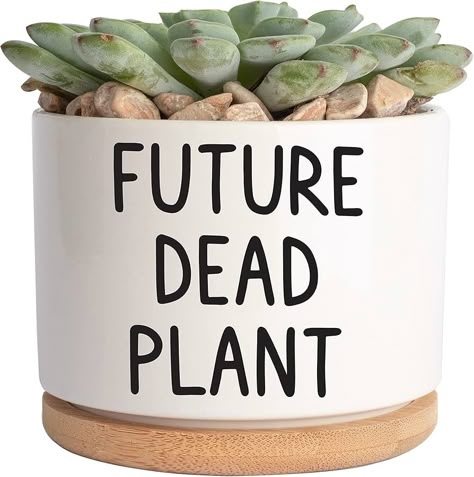 Amazon.com: JENVIO Future Dead Plant | Ceramic Succulent Pot Plant | Cool Birthday Christmas Planter Stuff | Unique Gift | Home Kitchen Office Decor 3.6 Inch (Plant Not Included) : Patio, Lawn & Garden Mom Gifts Christmas, Christmas Planter, Gift Ideas For Mother, Ceramic Succulent Pots, Small House Plants, Laugh Out Loud Funny, Unique Planters, Inch Plant, Plant Puns