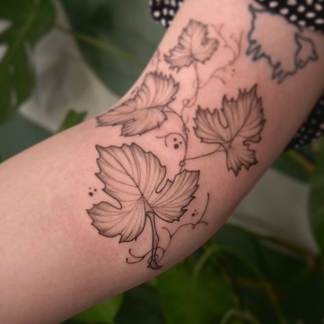 ivy branch for the lovely Sarah - Grazie Millie ♡ ✿ Want a exclusive floral piece like Sarah? ✿ 📩 bookings open for Nov and December — DM or bookings and inquiries - flash or custom 🌿 Check pinned posts and highlights for more info or feel free to out for any questions you may have! ♡ . . #branchtattoo #floraltattoo #floraltattooartist #tattoo #tattooart #dublintattoo #tattoodublin #irelandtattoo #dublintattooartist Grape Vine Tattoo, Tattoo Dublin, Ireland Tattoo, Vine Tattoo, Branch Tattoo, Tattoo Artists, Art Tattoo, Ivy, Flash