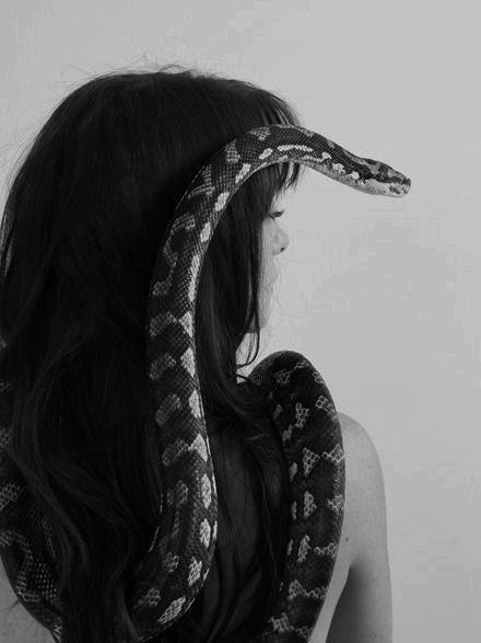 ): Snake Photos, Pretty Snakes, Snake Girl, Not Musik, Pet Snake, Snake Art, Hair Advice, Dark Feminine Aesthetic, A Snake