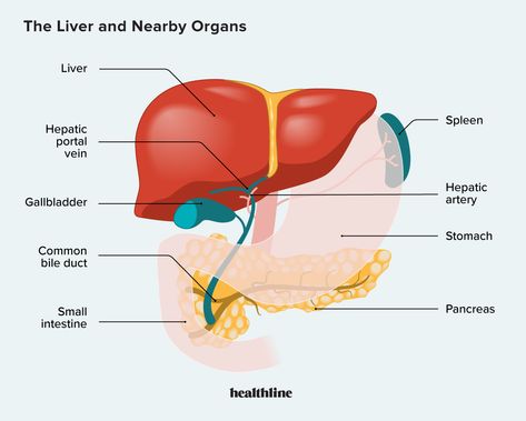 Exocrine Gland, Magnesium Deficiency Symptoms, River Map, Liver Damage, Kidney Detox, Abdominal Discomfort, Liver Failure, Itching Skin, Simple Health