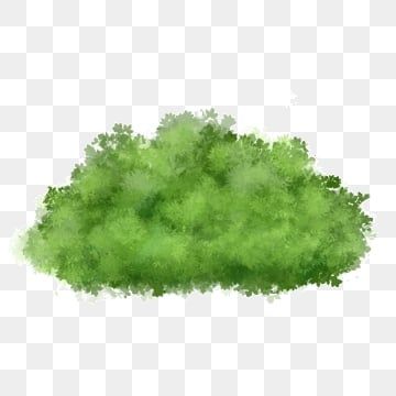 Bush Drawing, Earth Clipart, Cartoon Grass, Grass Png, Grass Clipart, Tree Photoshop, Digital Wedding Invitations Templates, Plant Png, Grass Background