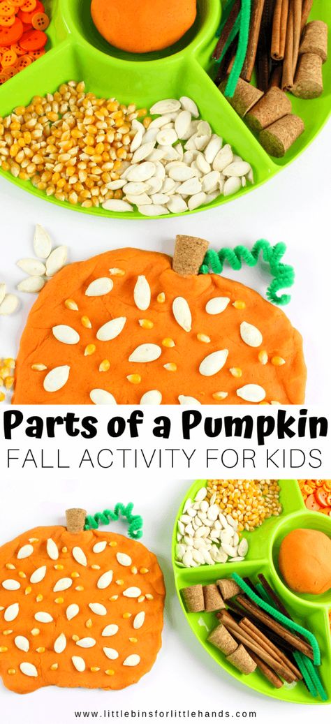 Fall Sensory Playdough, Hands On Pumpkin Activities, Pumpkin Provocations Kindergarten, Autumn Themed Activities Eyfs, Autumnal Activities For Kids, Thanksgiving Playdough Activities, Fall Playdough Activities, Pumpkin Eyfs Activities, Harvest Eyfs Activities