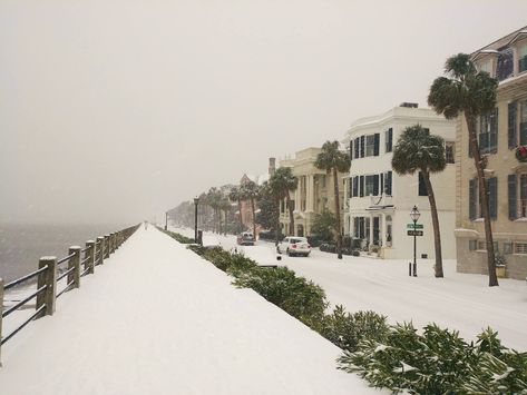 ***Snow spectacular in Charleston, SC. Fall In Charleston Sc, Charleston Winter, Charleston Christmas, Country Images, Low Country Homes, South Carolina Beaches, Beautiful Vacations, Deep South, Charleston South Carolina