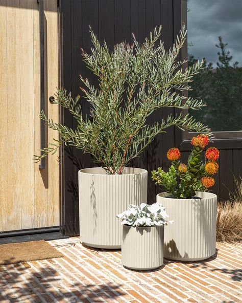 demi planter series In Door Planters, West Elm Planters Outdoor, Round Pot Plant For Dront Door, Tall Planters Front Door Lowe's, Front Door Planters Overstock, Front Door Plant Pots Uk, Big Outdoor Vases, Plant Pot On Dining Table, Farmhouse Porch Pots & Planters