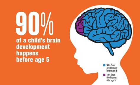 Brain Development in Children - 12 Sensitive Periods You Must Not Miss Early Childhood Development Activities, Brain Development Children, Early Childhood Education Quotes, Early Education Classroom, Brain Based Learning, Computer Lessons, Early Childhood Development, Development Quotes, Social Emotional Skills