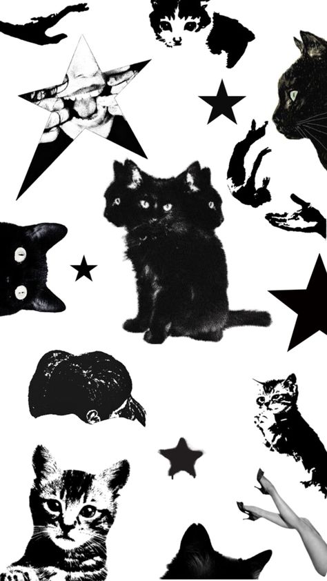 Kitten Lockscreen, Cat Ear Wallpaper, Black And White Cat Wallpaper, Black Cat Wallpaper, Cat Posters, Cat Wallpaper, Homescreen Wallpaper, Cat Ears, Phone Backgrounds