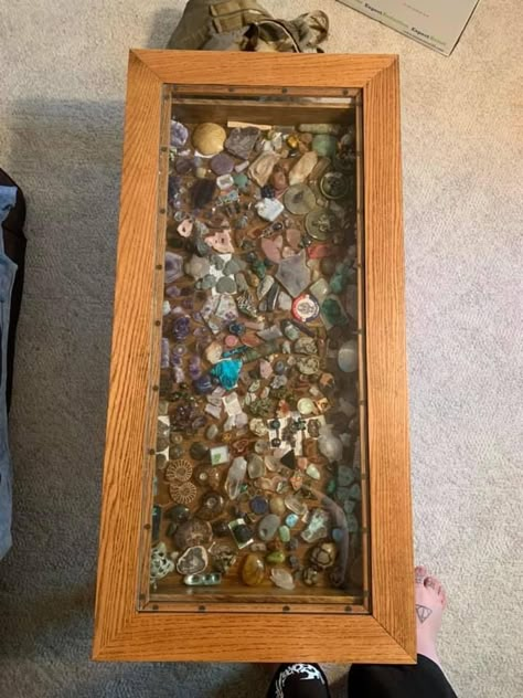 Shadowbox Coffee Table, Rock Display Table, Rock Display Ideas Diy, Rock Storage, Rock Collection Storage, Rock Display Ideas, Diy Jewelry Cabinet, Rock Furniture, Collection Shelves