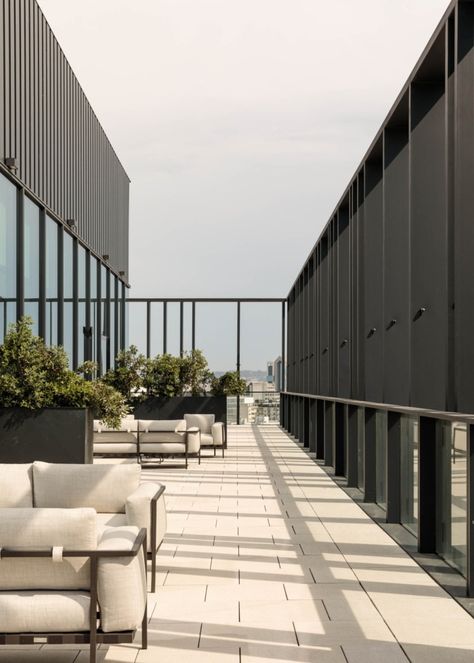 PLMJ Offices - Porto Office Terrace, Penthouse Rooftop, Terrace Inspiration, Apple Office, Sky Terrace, Office Design Inspo, Roof Landscape, Rooftop Balcony, Modular Lounge