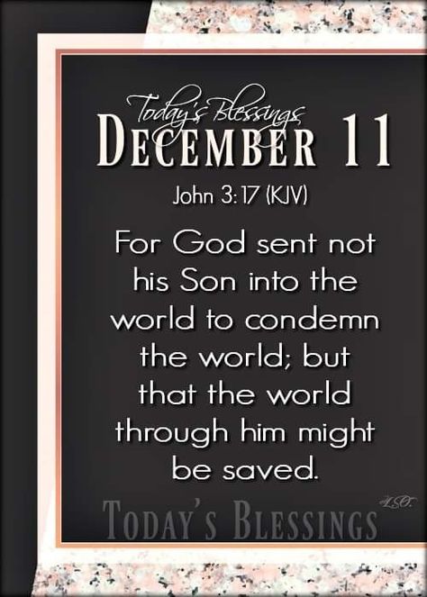 December 11 Quotes, December Blessings, December Scriptures, John 3 17, December Images, Weekly Quotes, December Days, December 11, Days Of The Year