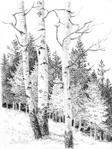 ballpoint drawing - Google Landscape Pencil Drawings, Forest Drawing, Tree Drawings Pencil, Drawing Hands, Simple Tree, Tree Sketches, Nature Drawing, Tile Murals, Landscape Drawings