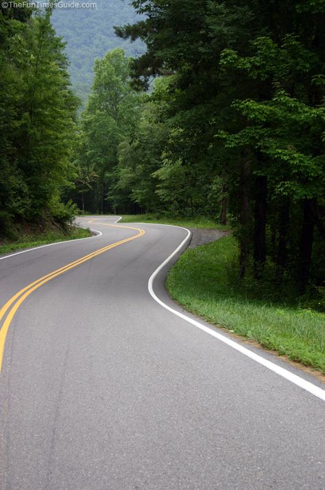 Tail Of The Dragon - see what this deadly stretch of road is like for Jeep drivers and motorcycle riders! Road Trip Necessities, Tail Of The Dragon, Vacation Checklist, Living In Nashville, Travel Secrets, Go Ride, Scenic Roads, Winding Road, Country Side