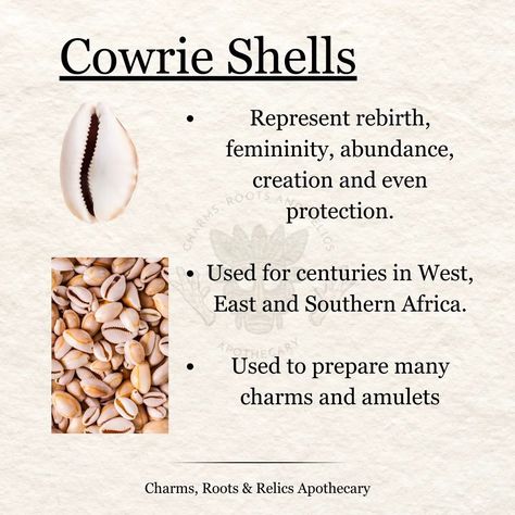 Cowrie shells are quite popular in African cultures as they were one of the earliest forms of currency used by traders up until the 20th century. The Ghanaian currency, Cedi, is named after the cowrie. These timeless and history rich elements have been used by diviners to tap into the ancient knowledge of the ancestors and the Orishas. They are also added to Gris Gris bags to help attract prosperity, wealth and fertility. Note that the divination system shown here is Obi divination and it's... Cowrie Shell Spiritual Meaning, Cowrie Shell Divination, Cowrie Shell Meaning, Cowrie Shell Tattoo, Hearth Witch, Witchy Spells, Shell Tattoos, Folk Magic, Bone Crafts