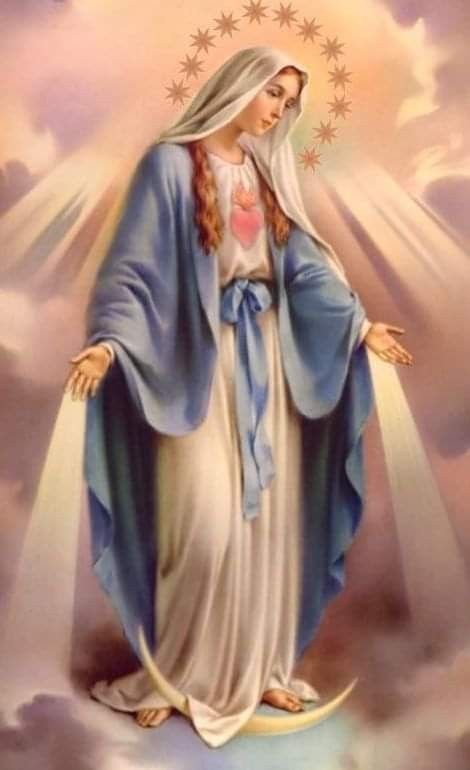 In the name of our Lord Jesus Christ I will begin this day.  I thank you, Lord, for having preserved me during the night. I will do my best to make all I do today pleasing to You and in accordance with Your will. My dear mother Mary, watch over me this day. My Guardian Angel, take care of me. St. Joseph and all you saints of God, pray for me.  O Jesus, through the Immaculate Heart of Mary, I offer You my prayers, works, joys and sufferings of this day for all the intentions of Your Sacred Heart, Mary Jesus Mother, Mother Mary Pictures, Jesus Mother, Virgin Mary Art, Mother Mary Images, Blessed Mary, Images Of Mary, Mama Mary, Religious Pictures