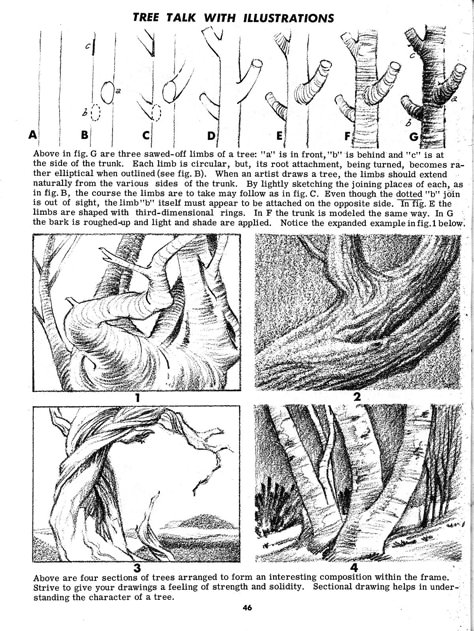 Tree Ink Illustration, Draw Tree, Trees Drawing Tutorial, Landscape Drawing Tutorial, Ink Drawing Techniques, Tree Limbs, Arte Peculiar, Nature Sketch, Texture Drawing