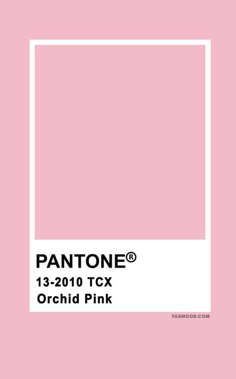 pantone color , pantone color 2020, pantone color chart , pantone color of the year, pantone color chart 2019, pantone color names, pantone color chart 2020, pantone pink, pantone orchid pink #pantone #color Pink Color Palette Pantone, Pink Pantone Colors, Pink Pantone Palette, Pantone Bubblegum, Pink Colors Shades, Light Pink Pantone, Pantone Rosa, Orchid Pink Color, Autumn Wedding Colors