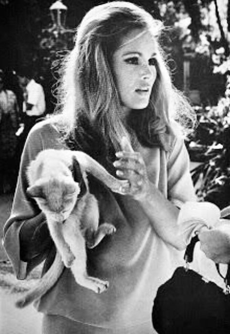 Celebrities With Cats, Katharine Ross, Ursula Andress, Freddy Mercury, Bond Girls, Great Cat, Casino Royale, Ernest Hemingway, Cat People