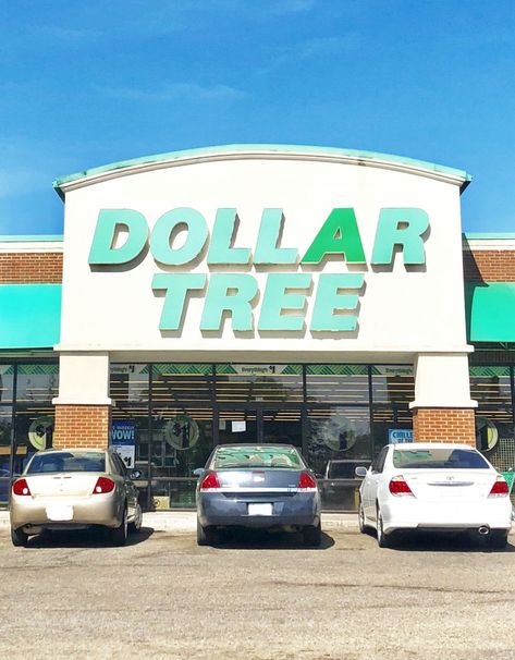 20 of the Best Household Items to Buy From Dollar Tree (and 10 items to avoid) | Lamberts Lately Dollar Tree Aesthetic, Best Dollar Tree Finds, Bff Date, Cute Christmas Crafts, Instant Pot Freezer Meals, Instant Pot Freezer, Easy Home Diy, Dollar Store Christmas Crafts, Dollar Tree Finds