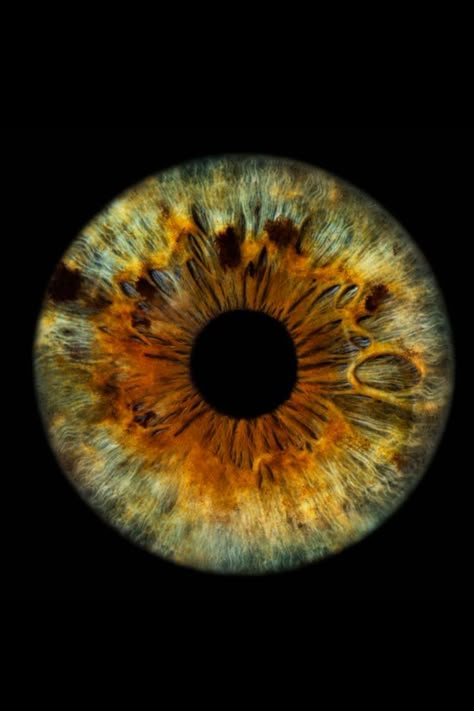 Eye Iris Photography, Iris Of The Eye, Eye Iris Painting, Iris Eye Art, Eye Microscope, Universe Eyes, Meditation Yoga Poses, Space Eyes, Eyes Iris