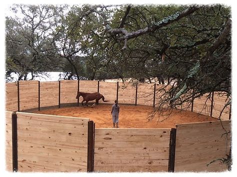 Diy Round Pen For Horses Cheap, How To Build A Round Pen For Horses, Round Horse Pen, Wood Round Pens For Horses, Covered Riding Arena With Stalls, Round Pen, Equestrian Facilities, Stables, San Antonio