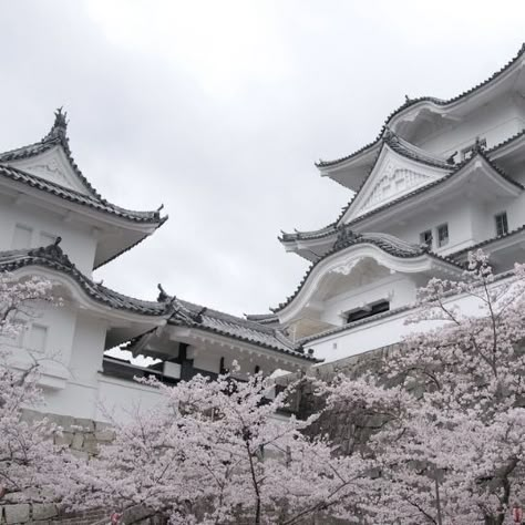 Japan temple Shoujo Aesthetic, Japan Vibes, Japan Temple, Japan Core, Cherry Blossom Trees, Aesthetic Japan, Gray Aesthetic, Japan Aesthetic, Japanese Aesthetic