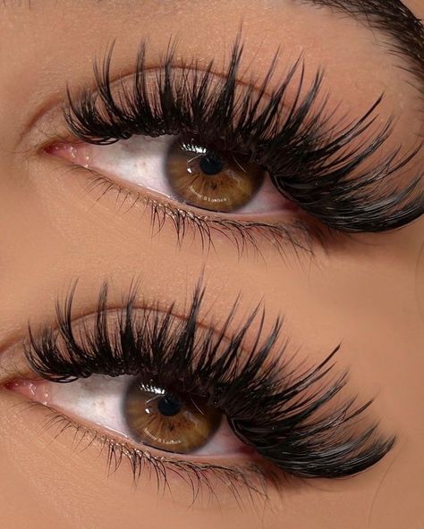 Wispy Wet Lashes, Wispy Volume Lash Extensions Doll Eye, Wet Wispy Lashes, Long Lashes Extensions, Full Wispy Eyelash Extensions, Long Wispy Eyelash Extensions, Wet Wispy Lash Extensions, Wispy Extensions, Wet Lashes Look Extensions