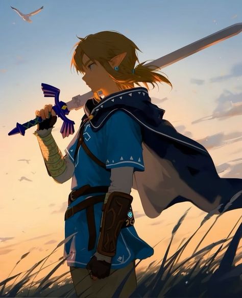 Botw Champions, Link Fanart, Botw Link, Link Botw, Hyrule Warriors, Link Art, Zelda Breath Of The Wild, Link Zelda, Zelda Art