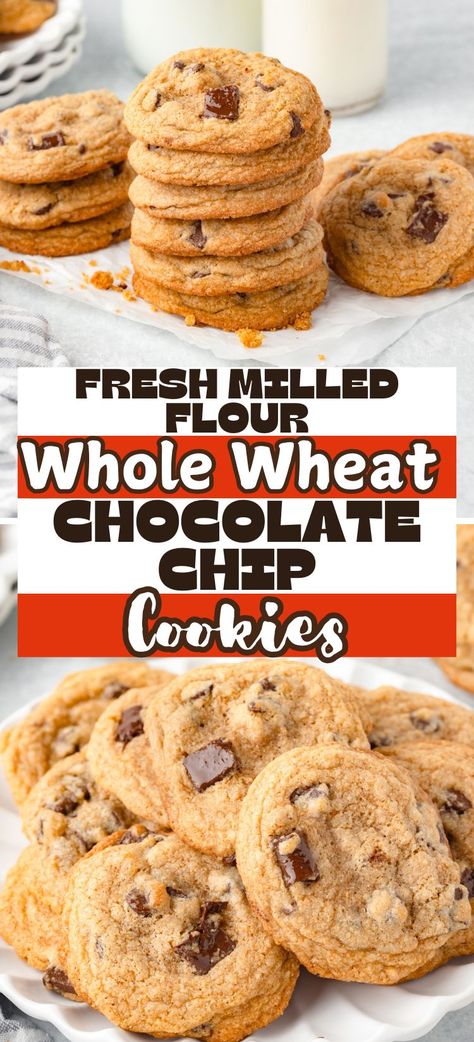 These Whole Wheat Chocolate Chip Cookies are made with freshly milled flour and loaded with chocolate chunks for the perfect balance of healthy and indulgent. Ideal for anyone craving homemade goodness with a wholesome twist! Fresh Milled Flour Chocolate Chip Cookies, Whole Wheat Cookies Healthy, Fresh Milled Flour Cookies, Cookies With Whole Wheat Flour, Whole Wheat Chocolate Chip Cookies, Wheat Chocolate Chip Cookies, Healthier Cookies, Fresh Milled Flour, Whole Wheat Cookies