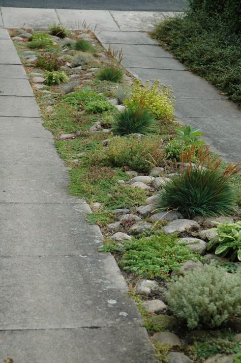 Landscaping Sidewalk, Sidewalk Landscaping, Permeable Driveway, Driveway Ideas, Front Garden Landscape, Driveway Landscaping, Garden Posts, Garden Shrubs, Rock Garden Landscaping