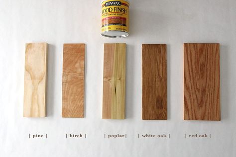 How Six Different Stains Look on Five Popular Types of Wood | Minwax Blog Best Wood Stain, Floor Stain Colors, Minwax Stain Colors, Wood Floor Stain Colors, Minwax Dark Walnut, Jacobean Stain, Special Walnut Stain, Stain On Pine, Minwax Stain