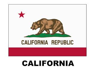 @cindy.mycreativelife Cindy deRosier: My Creative Life: California Travel Little Passports California State Flag, Bear Flag, State Of California, California Flag, California Republic, State Flags, Grand Art, California State, Cultura Pop