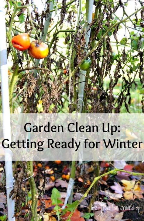 Fall clean up is a critical time for your garden - don't skip it! Garden Prepping, Fall Clean Up, Winter Gardening, Annual Garden, Diy Gardening, Home Vegetable Garden, Garden Elements, Hydroponic Gardening, Seasonal Garden