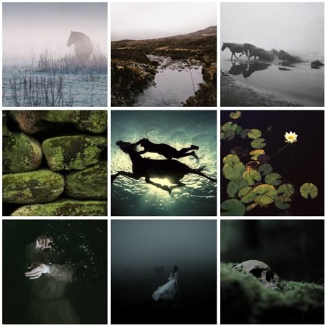 Kelpie Aesthetic, Horse Moodboard, Mermaid Moodboard, Moodboard Adopts, Adopt Idea, Mood Colors, Mood Board Inspiration, Fantasy Places, Scary Art