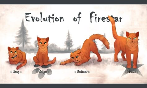 Evolution of Firestar Warriors Erin Hunter, Warriors Memes, Warrior Cat Names, Warrior Cats Funny, Warrior Cat Memes, Warrior Cats Comics, Warrior Cats Series, Warrior Cats Books, Warrior Cats Fan Art